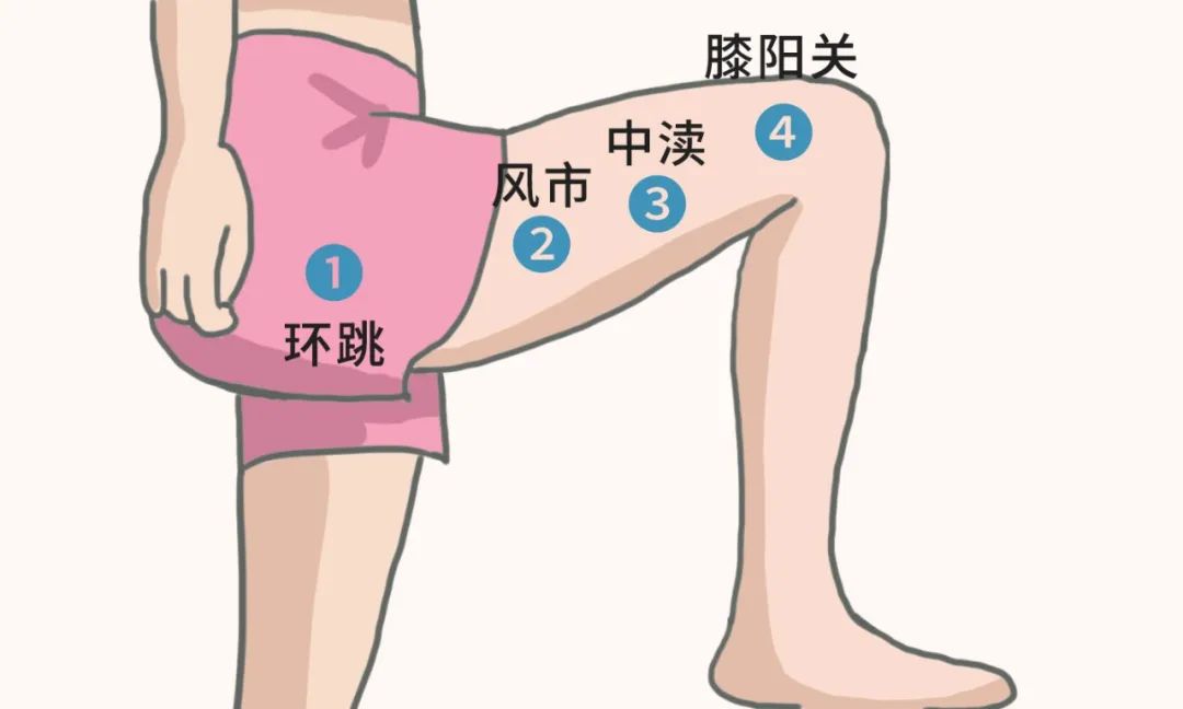 胆经每天敲一敲,胆经一敲就疼