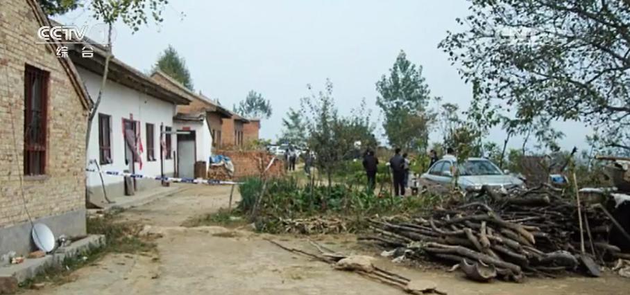 独居女子被杀后续,独居寡妇的真实事件