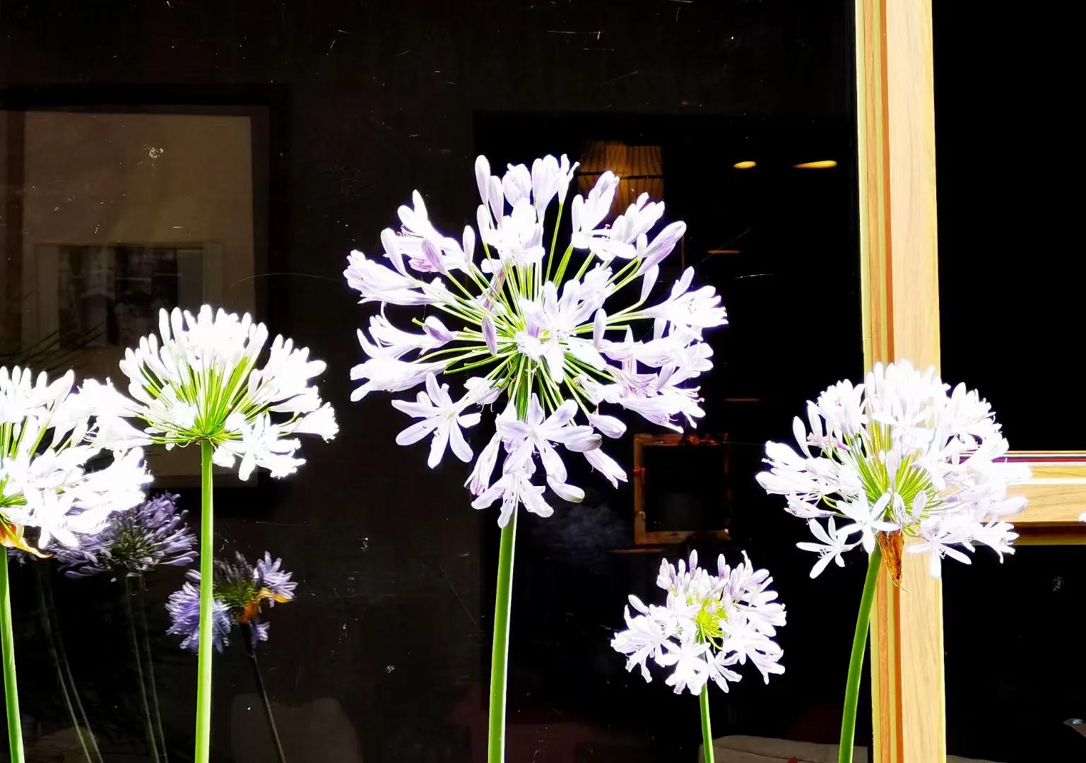 灏戝勾璁板繂灏忚,灏戝勾璁板繂