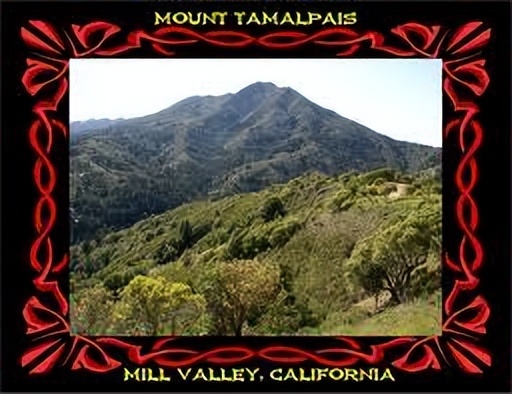 山地车最全讲解,山地车详细介绍