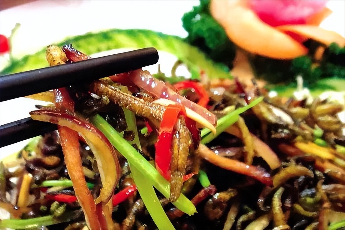 大湾区之珠海篇,2023优秀华裔大学生走进大湾区