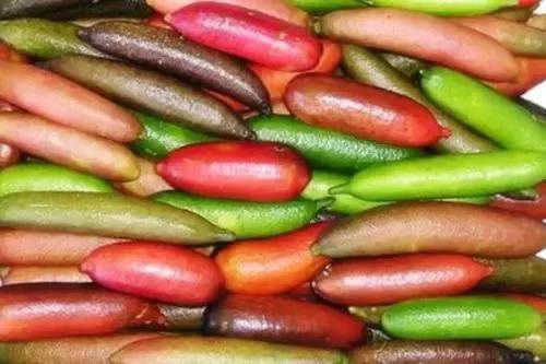 柠檬多少钱一斤最便宜的,广西手指柠檬多少钱