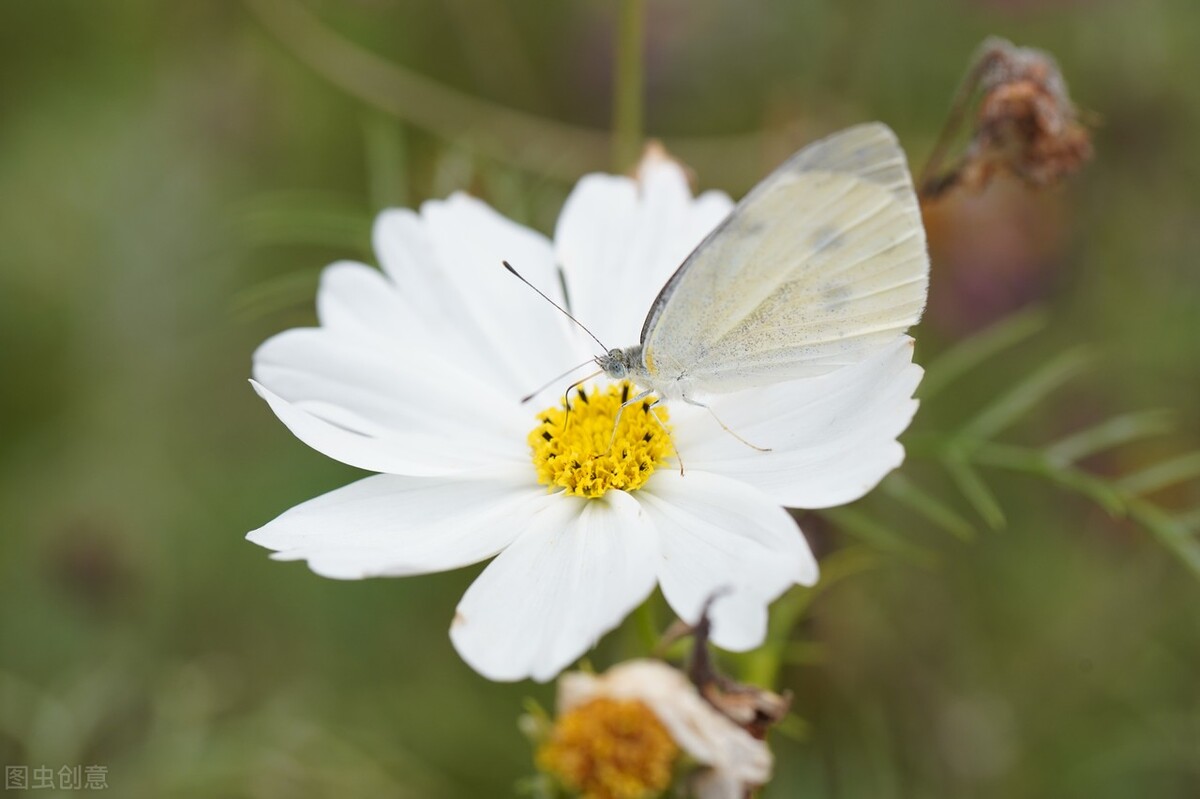女人对你忽冷忽热是何原因,为什么女人对男人老是忽冷忽热