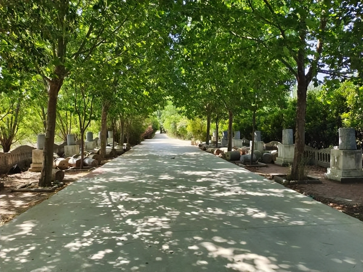 持续改善人居环境南阳市社旗县桥头镇这样做