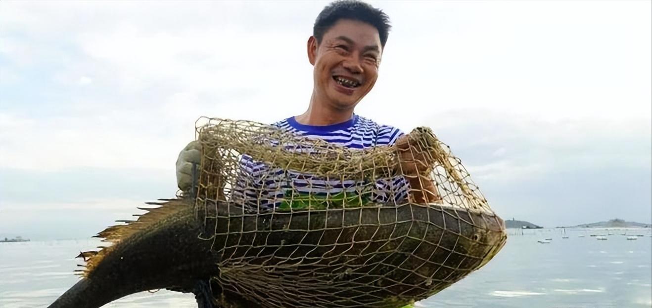 男子花20万买一条鲶鱼3年狂赚上亿,湖北小伙花20万买个鲶鱼