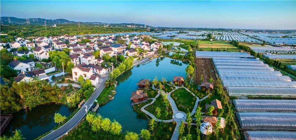 2023年农村创业趋势,农村创业新趋势