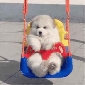 时髦精必备单品,时髦精必入款