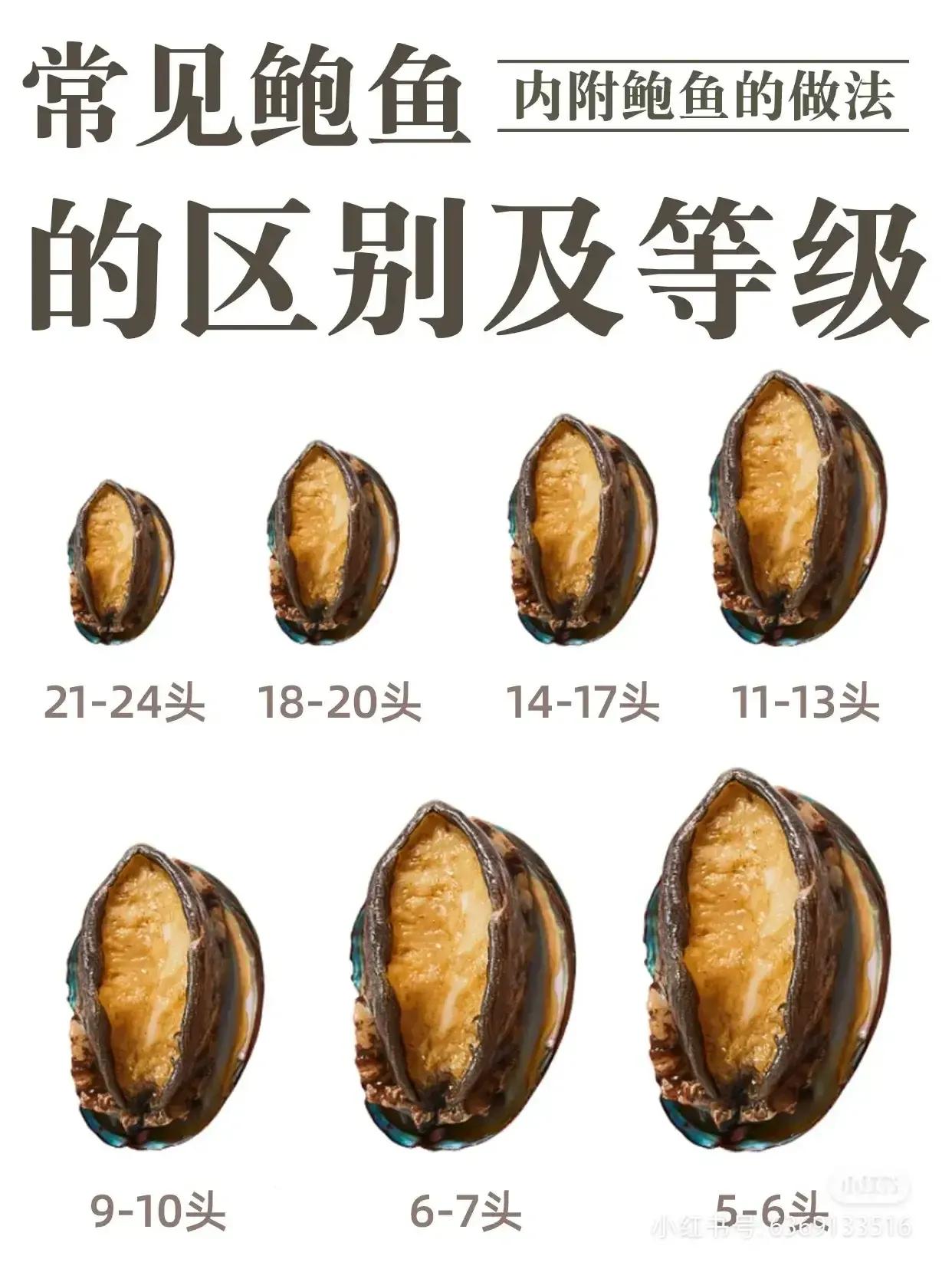 鲍鱼很多种不认识？教你它们的区别和口感，以及吃法