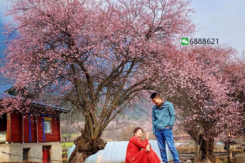 *藏西**三月适合去吗？三月*藏西**旅游景点推荐！来看看不一样的*藏西**吧