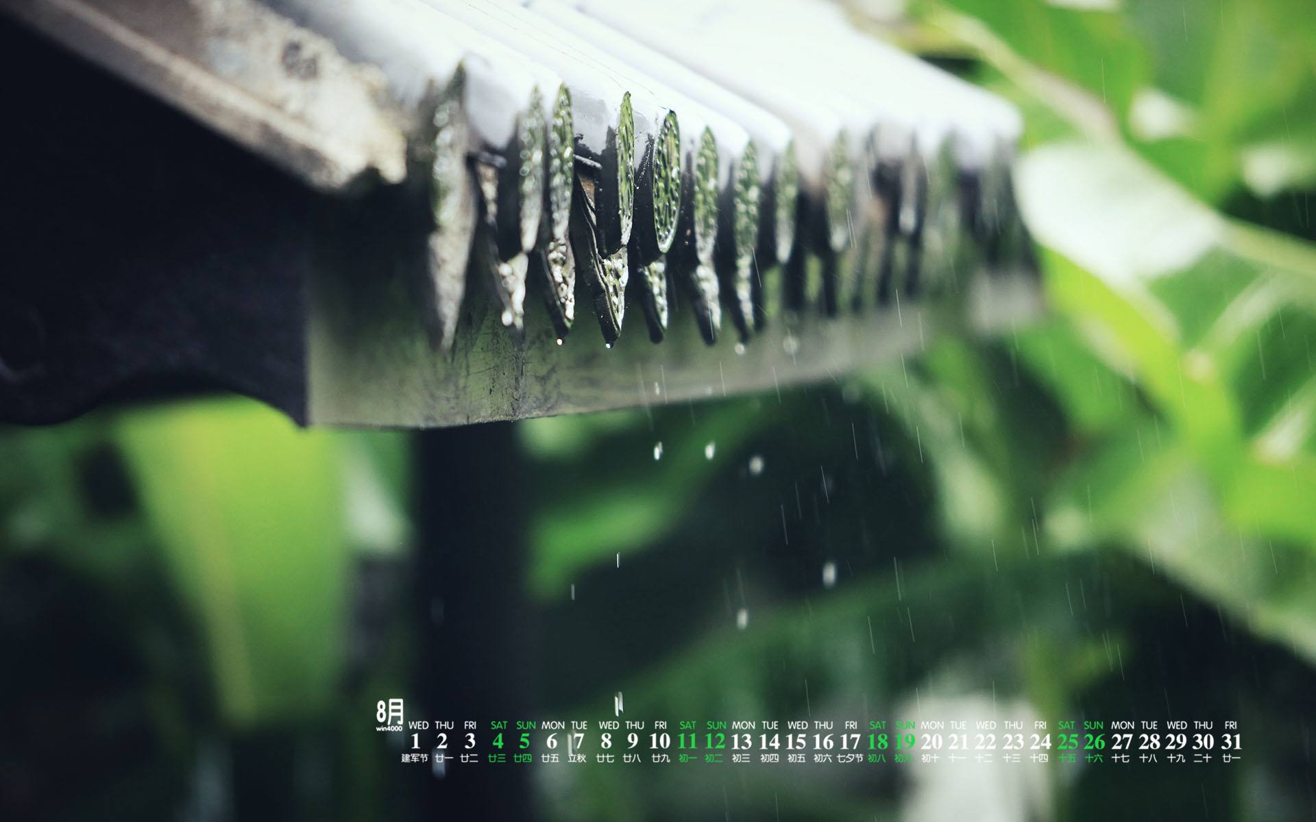 除了倾盆大雨还有什么,除了倾盆大雨还有什么大雨