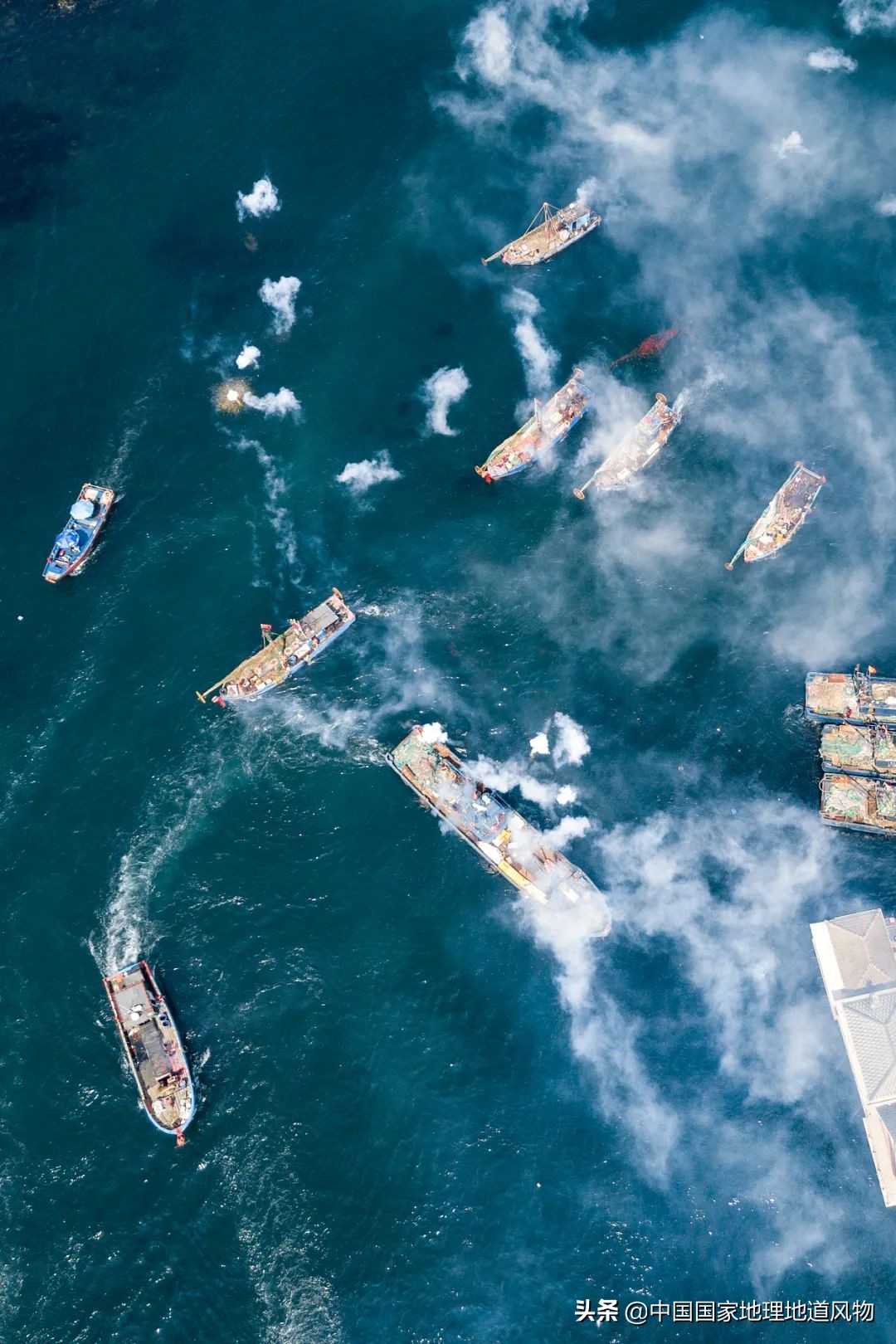 辽宁哪个地方的海鲜最好,辽宁各市都有啥海鲜