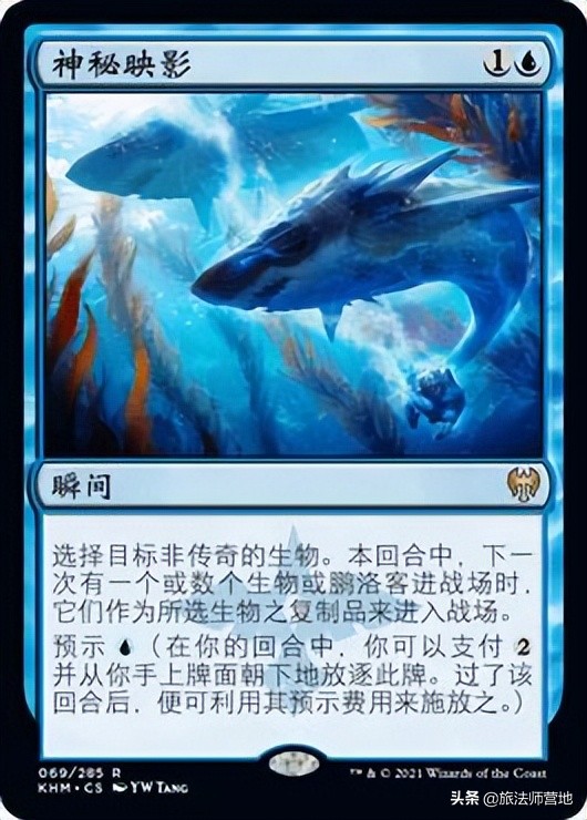 万智牌勇者斗恶龙,cedh万智牌