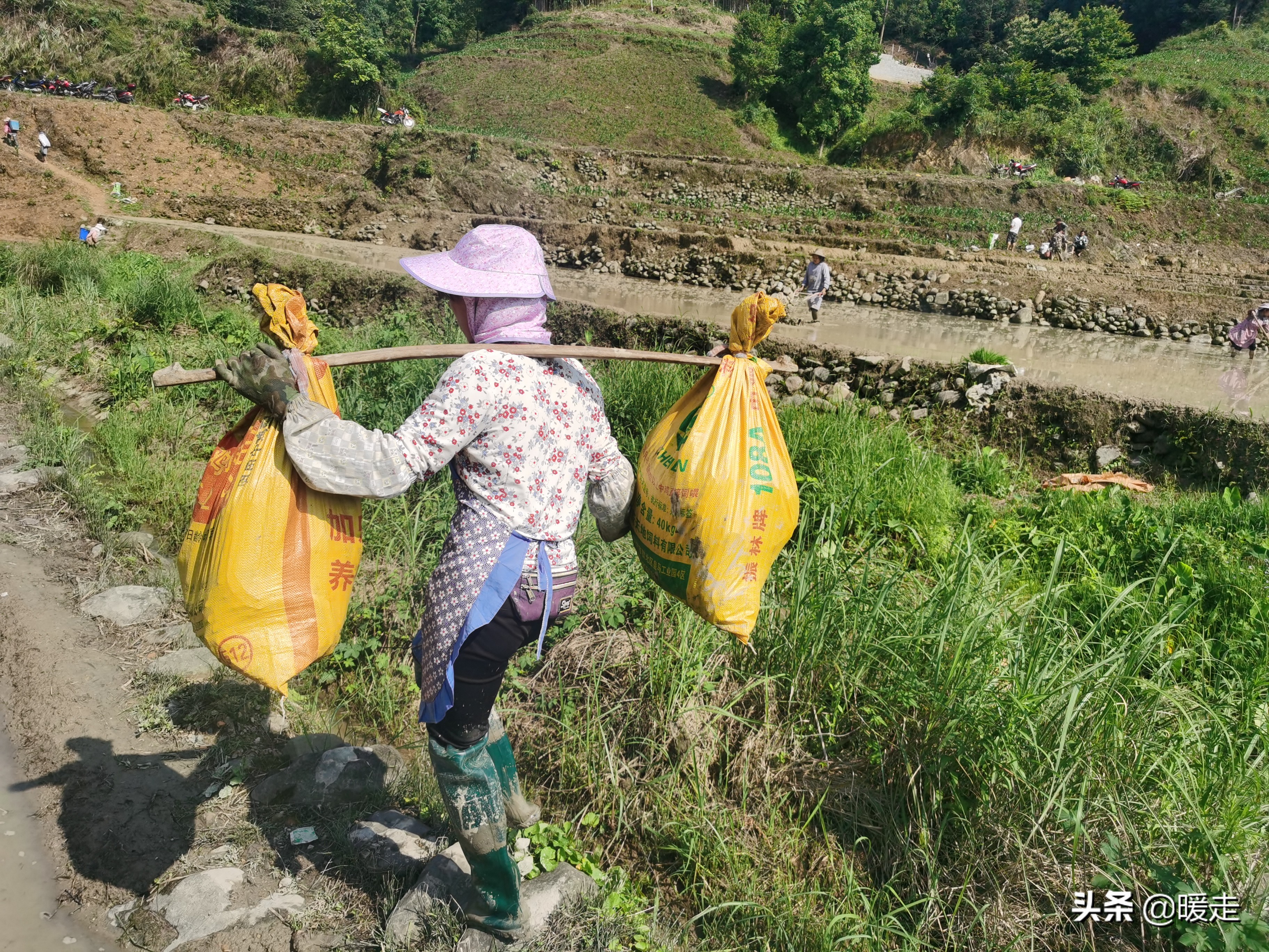 广西农民种田,乡村种田的生活视频