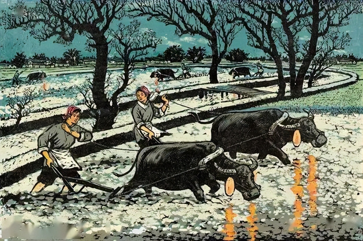 界河张桂革,张桂革