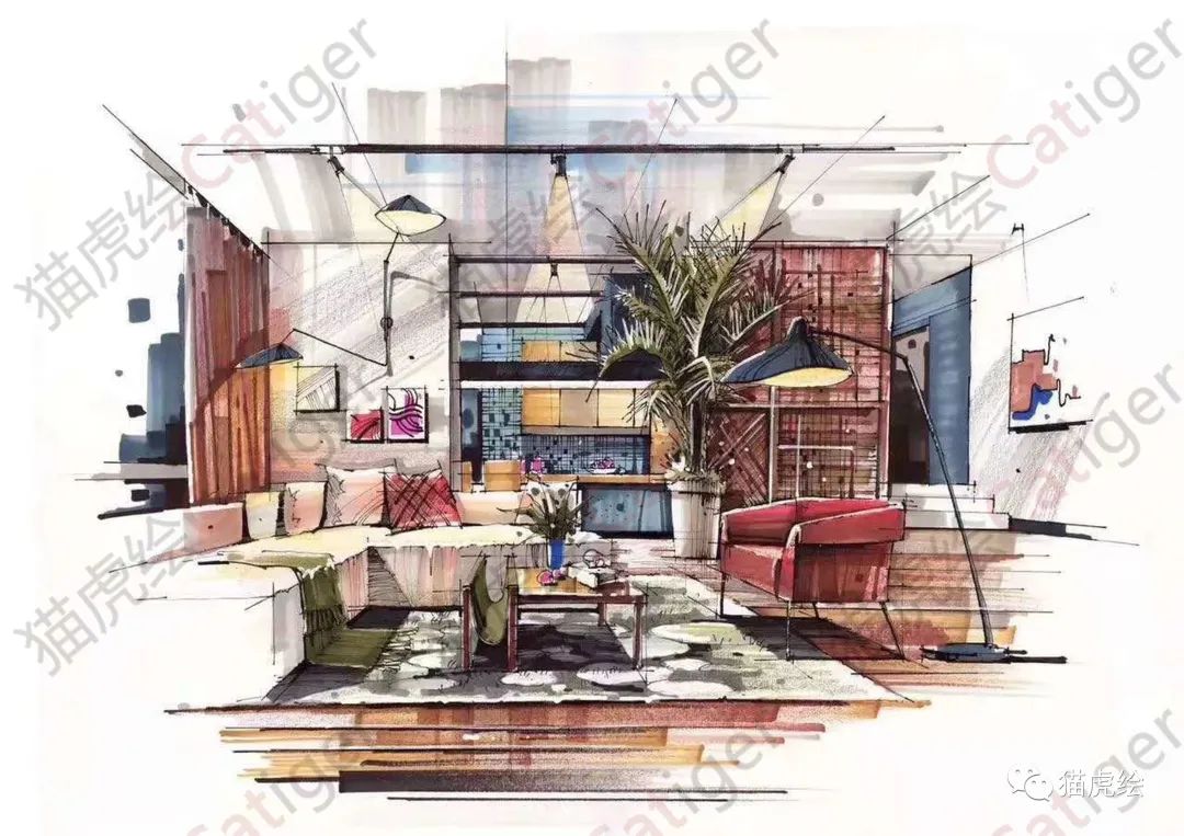 2022猫虎绘暑假手绘班招生简章「线上+线下」