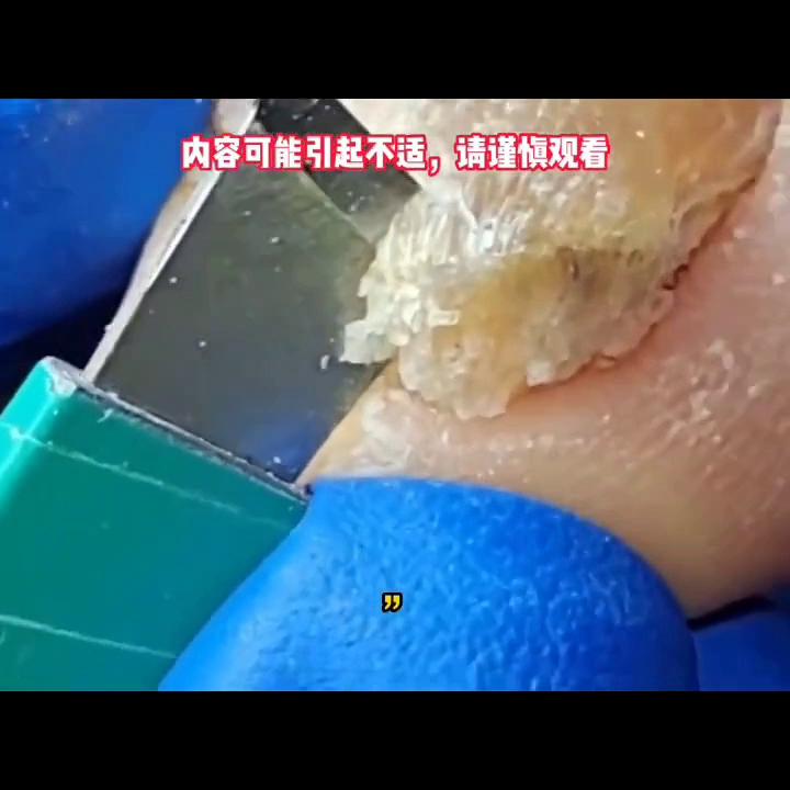 小七故事会小程序入口抖音,抖音小七故事会怎么进入