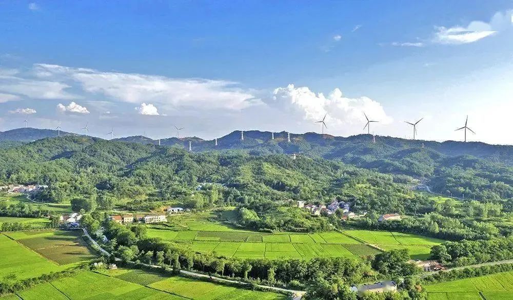 一街一品！乡村“玩”出新花样~