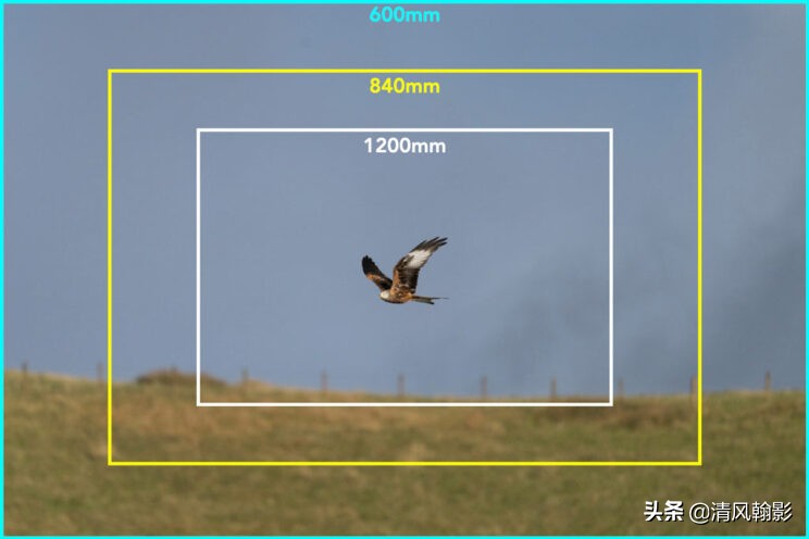 索尼微单长焦镜头55-210,索尼微单长焦镜头最新款