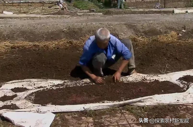 小型养殖蚯蚓一年能赚多少钱,一个大棚养殖蚯蚓收益有多少