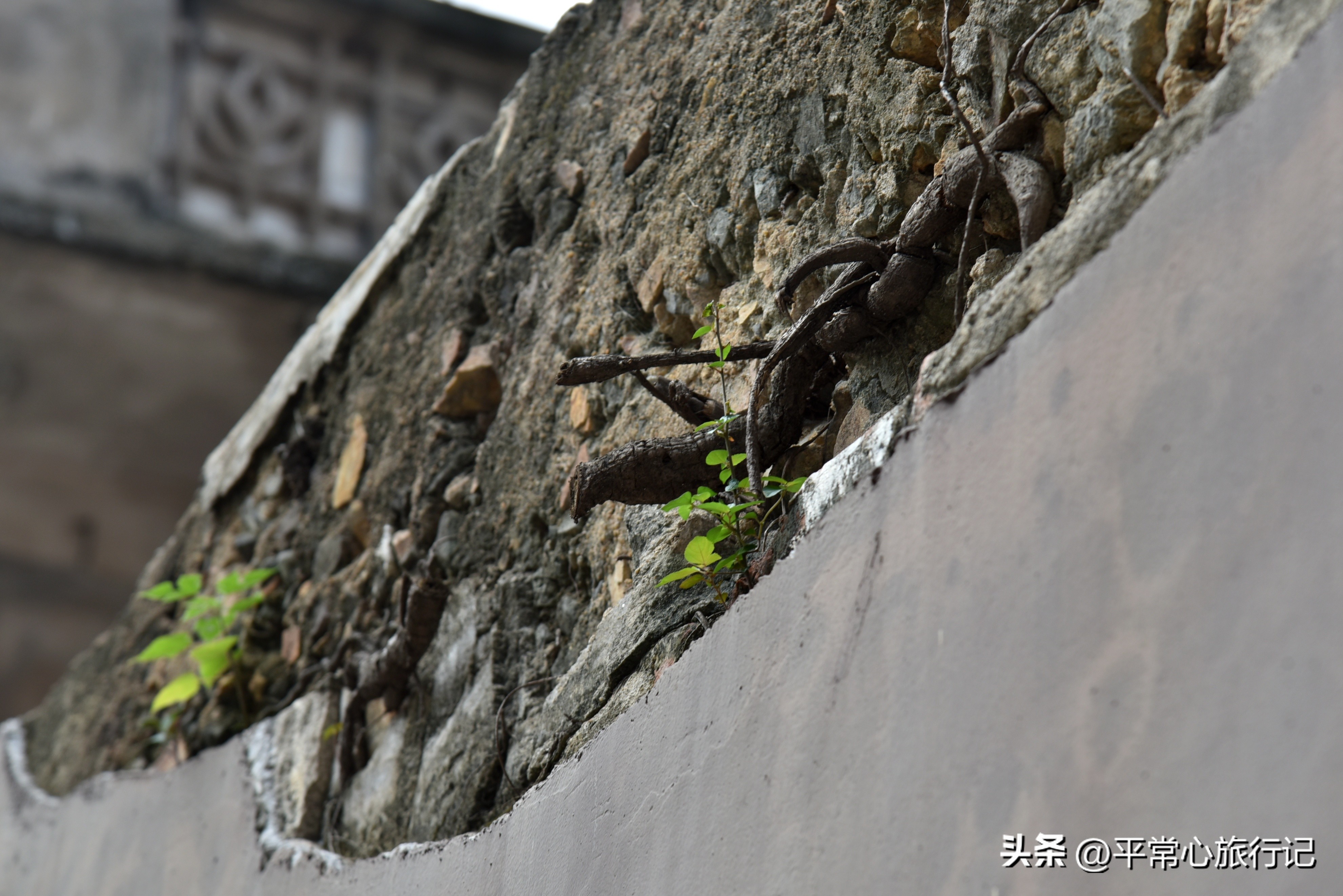 狂飙江门取景地打卡旧厂街,江门三十三墟街景点介绍