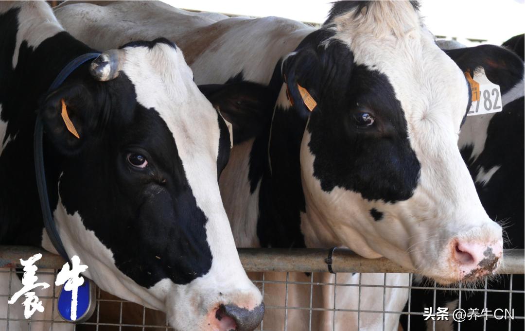 成为更出色的人,成为更优秀的女性