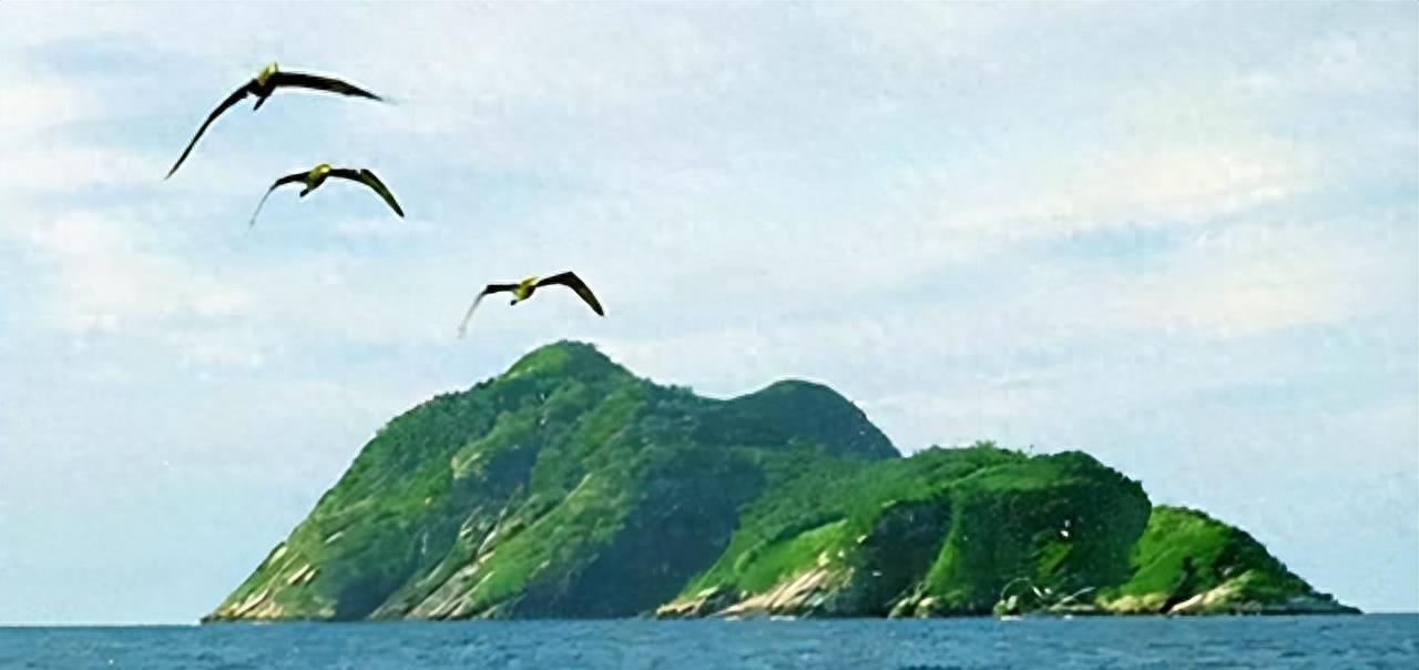 蛇岛生态链惊现老鼠吃蛇,2万条蛇成口粮引关注