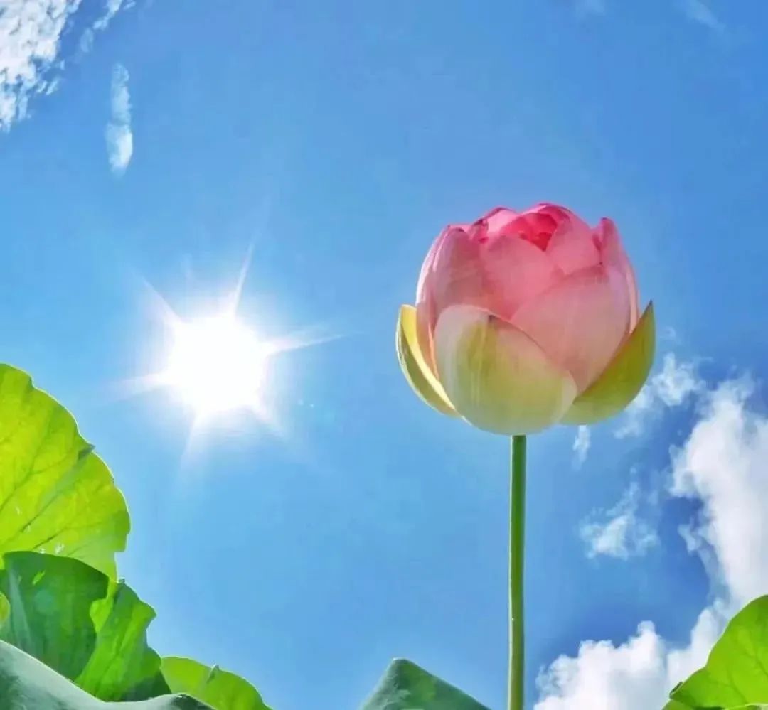 松原查干湖旅游三日,松原查干湖五一旅游团