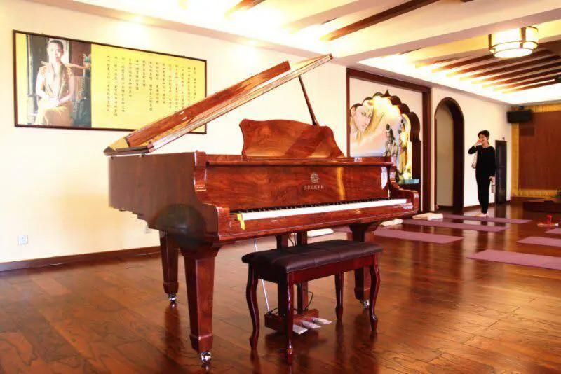 电钢琴入门指南,买电钢琴的建议