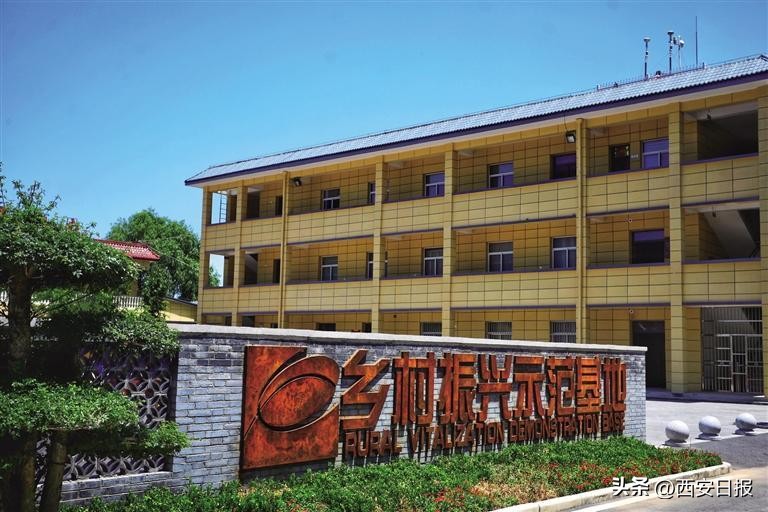 西安高科先锋,西安高科集团转型