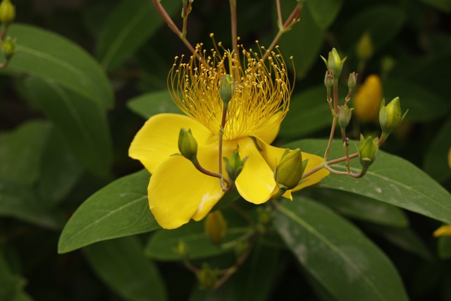 真有神鬼附体这种事吗,神鬼附体是怎么回事