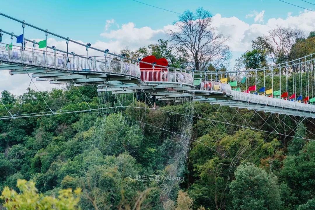 神仙树图书馆,神仙图书馆图片