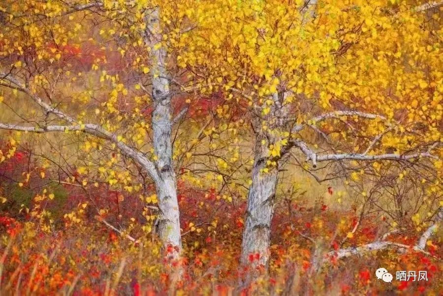 东行漫记长篇纪实,闫涛的东行漫记