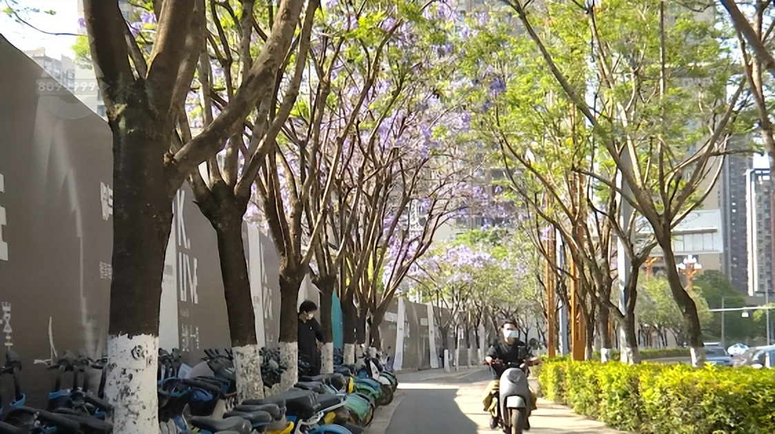 何必远游，昆明这些路上的美景就美呆