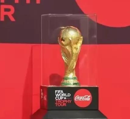 世界杯的起源动画,世界杯的起源与发展简短200字