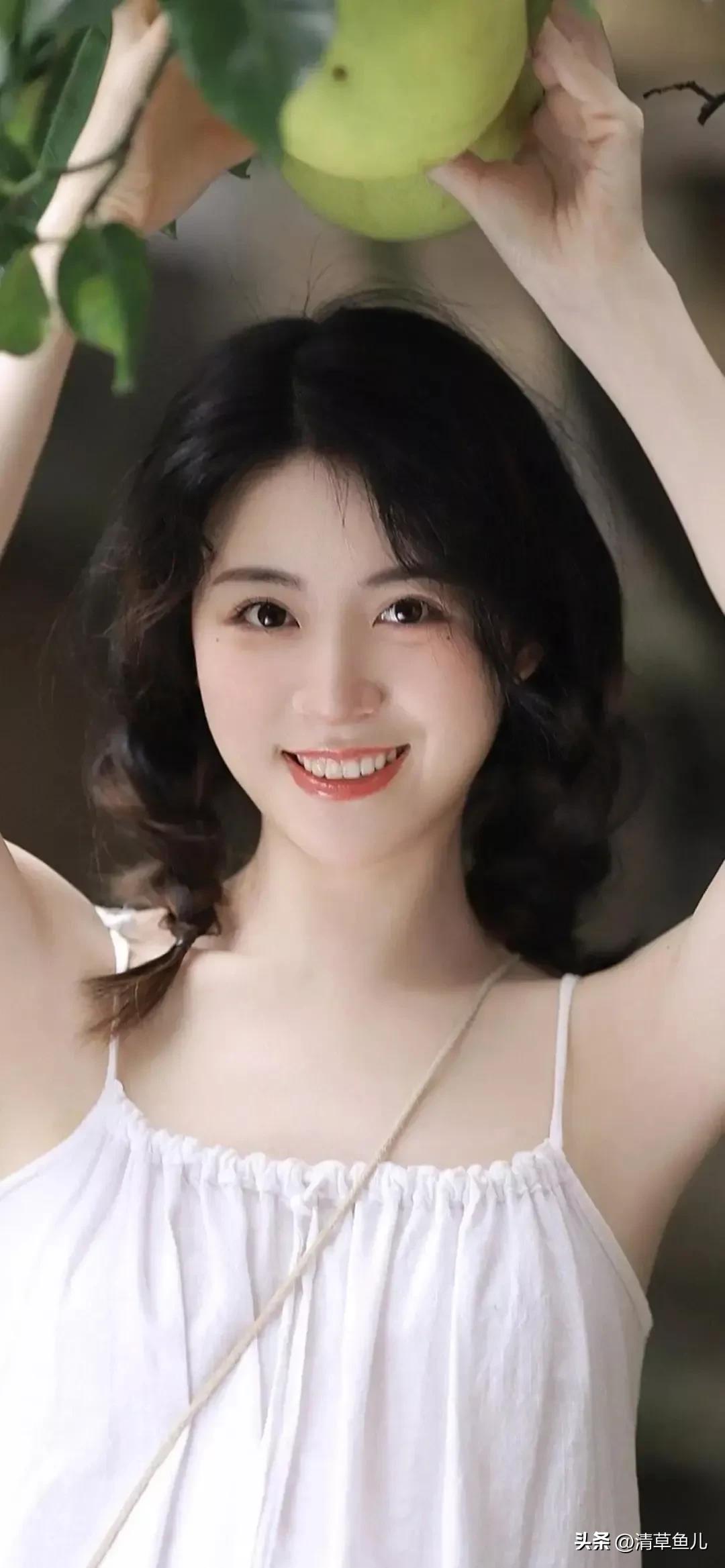 有趣的小动物猫,一只有趣的猫