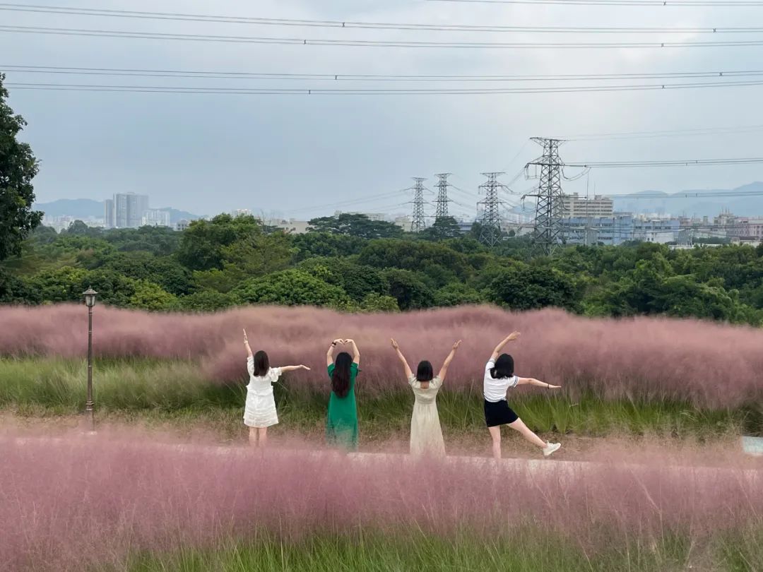 9月，谢谢你们送来的秋天