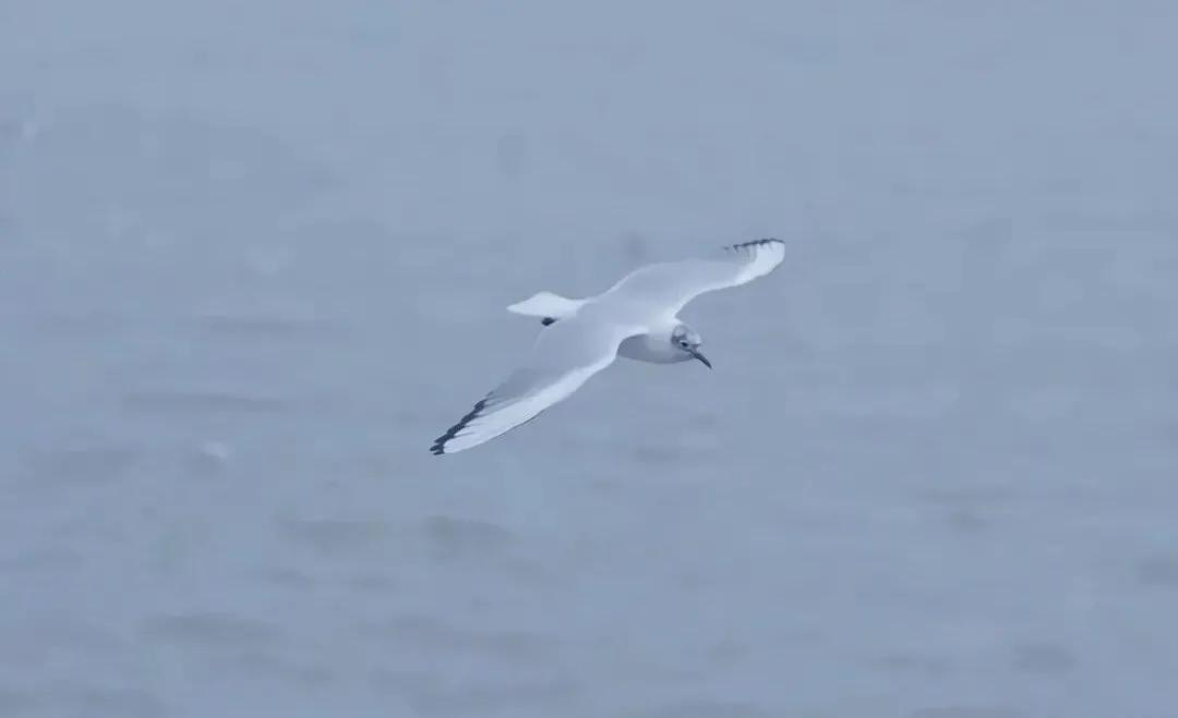 监狱会见家属可以带什么东西呢,监狱视频会见有什么要求