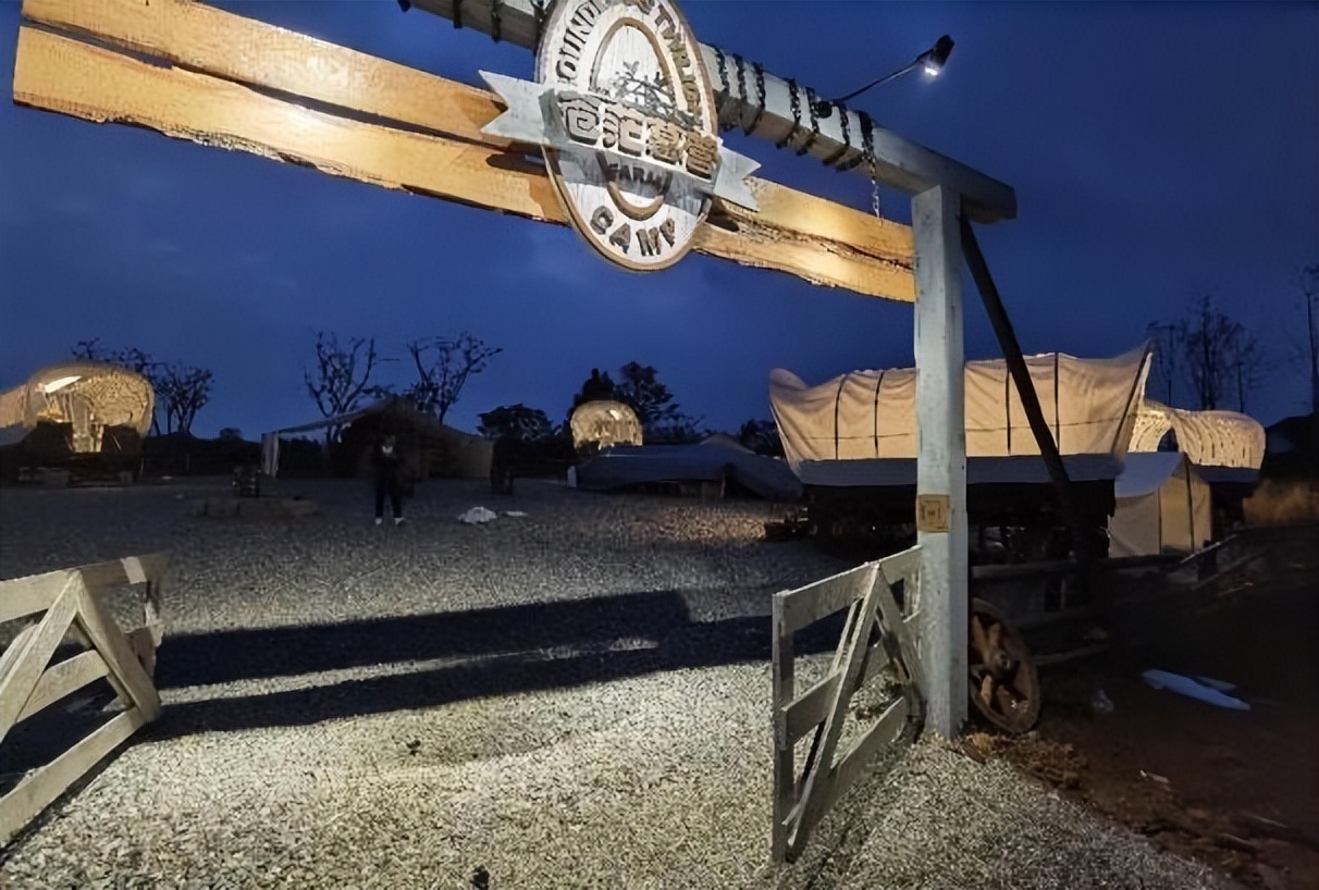 空港花田怎么免费开放,空港花田最新信息