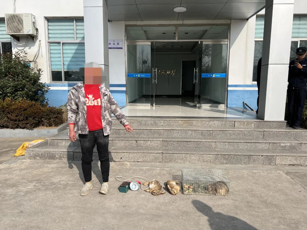 非法抓野兔会被判刑吗,男子抓野兔被刑拘涉嫌非法狩猎罪