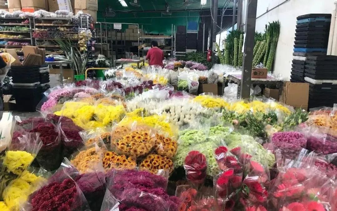 新手必看鲜花养护攻略,鲜花在水里能养几天会死