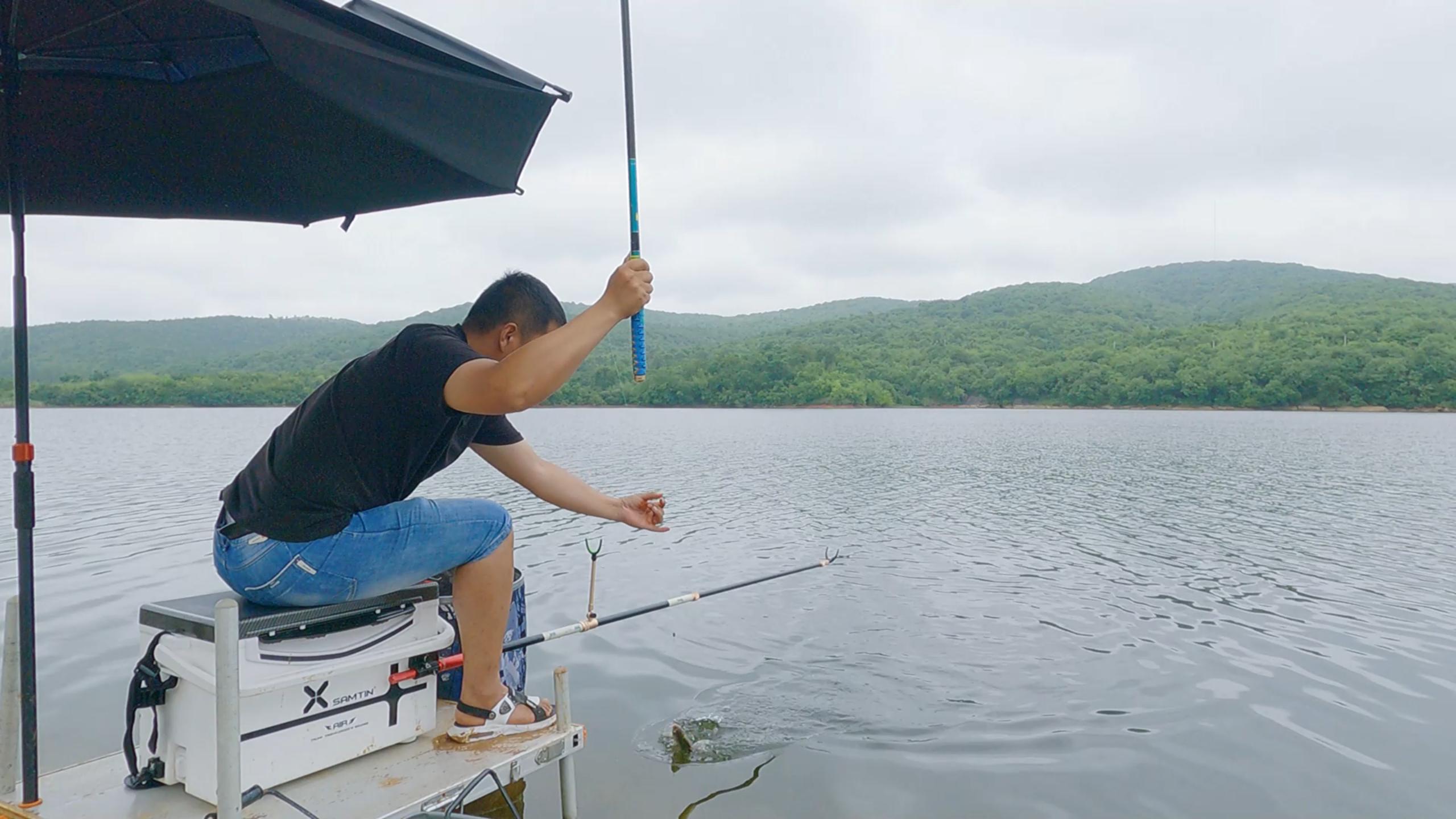 鱼儿无缘无故死掉是怎么回事,鱼停口不上钩怎么办