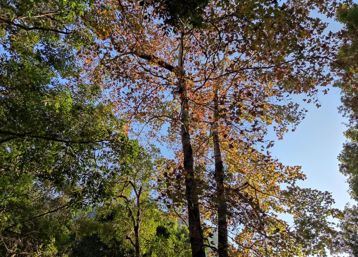 清远避暑温泉山庄,清远森林温泉