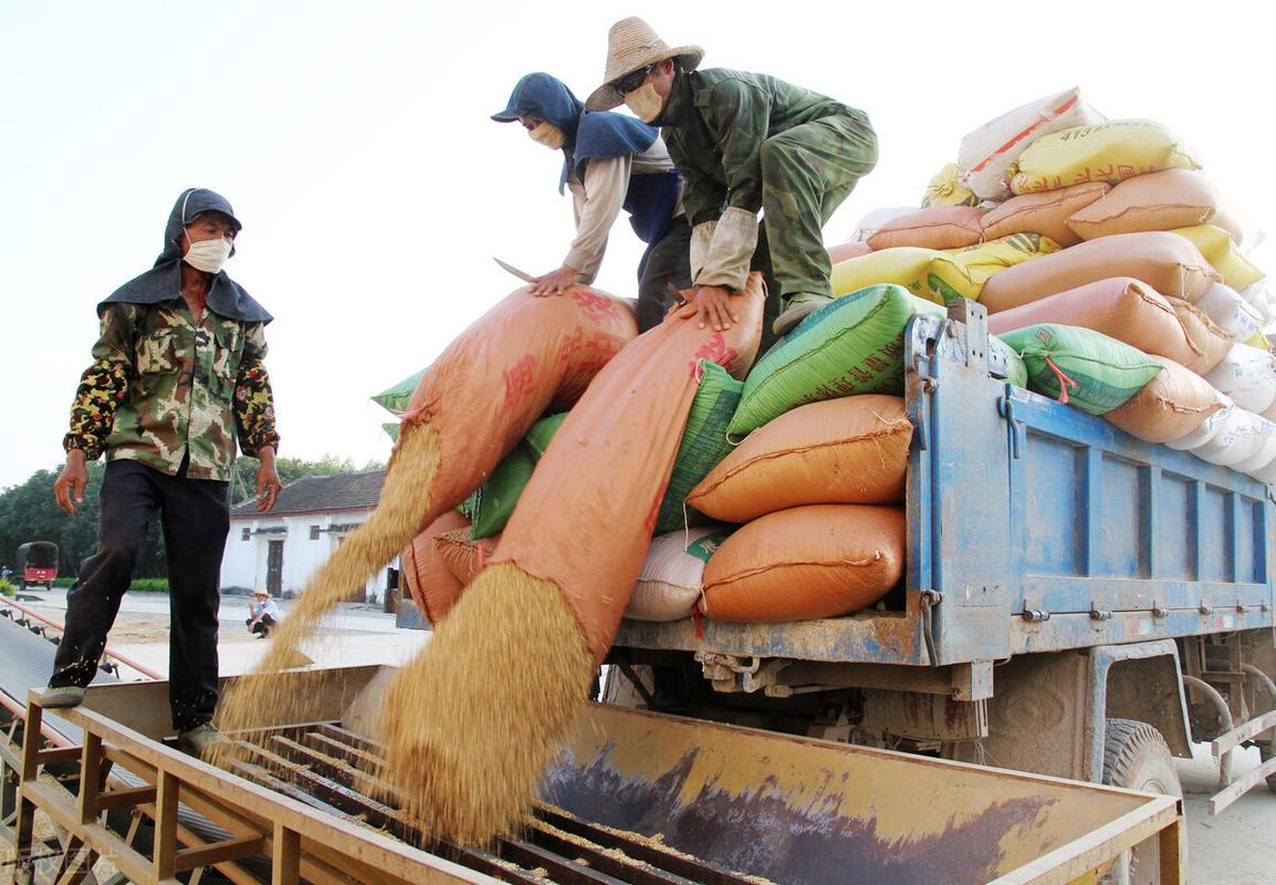 鍐滄皯杩涘煄鍔″伐灏变笟,鍐滄皯鎵撳伐杩斾埂鏀跨瓥璋冩暣