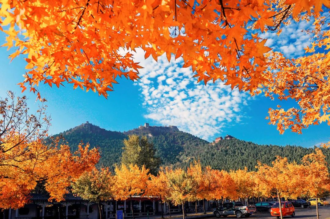 逛吃逛吃歌曲,逛吃逛吃