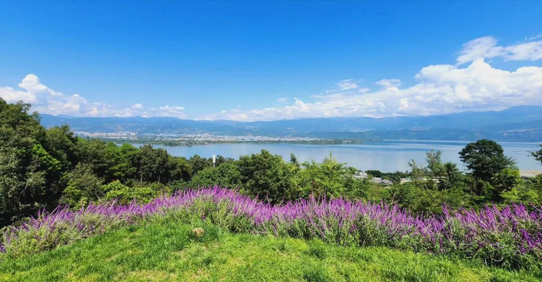 去西昌一定要吃的美食,去西昌推荐吃什么