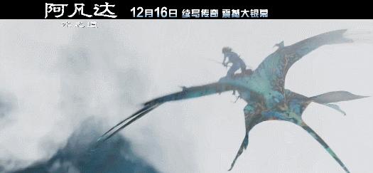 年底压轴王炸来袭莱昂纳多,年底收官王炸最后一天