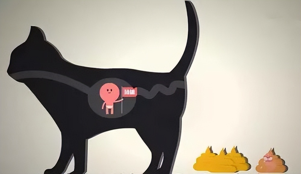 人体弓形虫：全球30%人携带却无疫苗，活体寄生或能操控思维