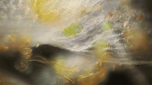 厨房装修实用用品,小户型厨房必备神器有哪些