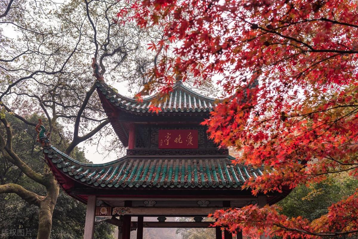 长沙旅游要不要去岳麓山,长沙旅游岳麓山