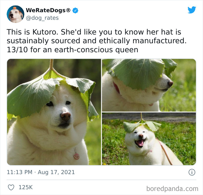 缇庡浗灏忓摜鐐硅瘎瑙嗛,缇庡浗灏忓摜鐐硅瘎